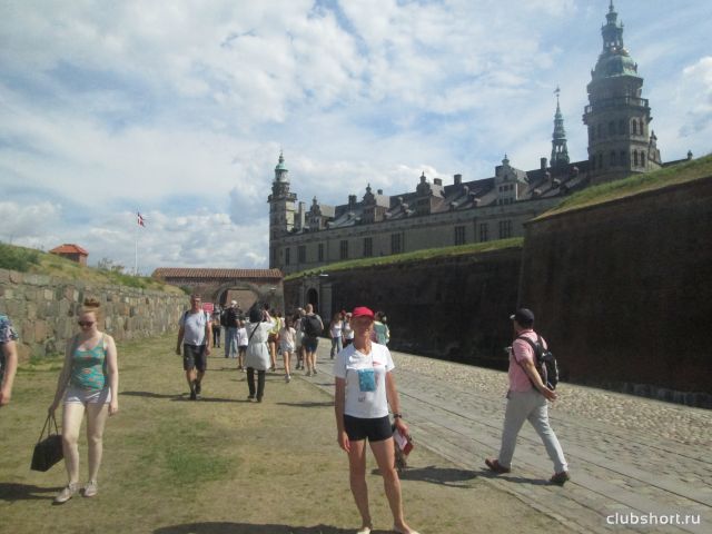69142_3of1218sh14.jpg